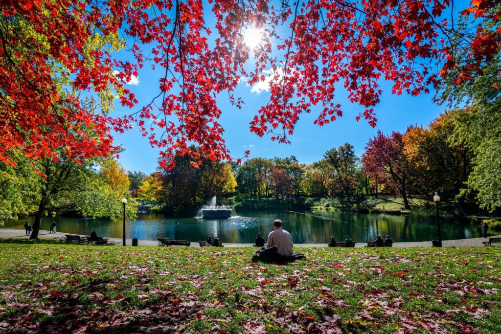 Person sitting under bright red maple leaves by the pond at Parc La Fontaine in Montreal during peak fall colours, with a fountain and golden trees in the background.