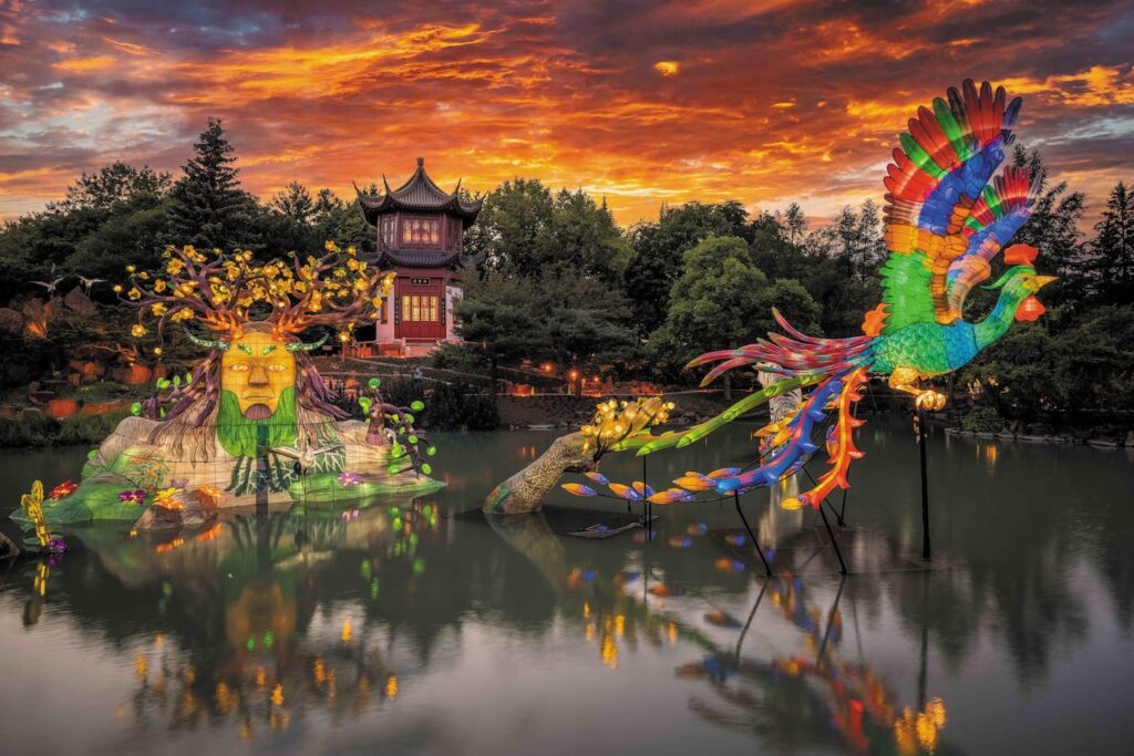 Colourful illuminated lantern sculptures of a phoenix and forest spirit reflect on the pond in the Chinese Garden at Montréal’s Botanical Garden during the fall Gardens of Light festival.