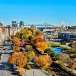 Aerial view of Old Montréal and the Old Port in peak fall colours, with vibrant trees lining the streets, the Grande Roue Ferris wheel, and Jacques-Cartier Bridge in the distance under a clear blue sky.