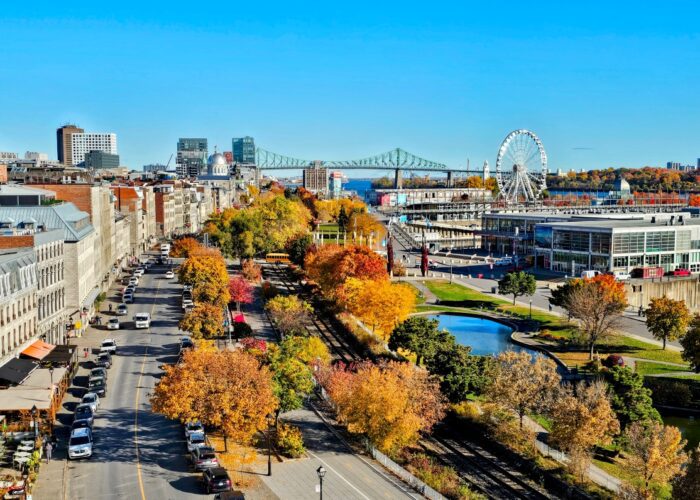 Aerial view of Old Montréal and the Old Port in peak fall colours, with vibrant trees lining the streets, the Grande Roue Ferris wheel, and Jacques-Cartier Bridge in the distance under a clear blue sky.